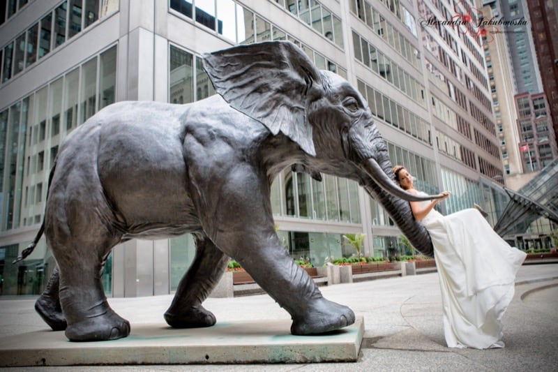 toronto wedding photos